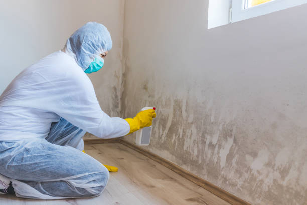Commercial Mold Remediation assessment for commercial property in Laurel